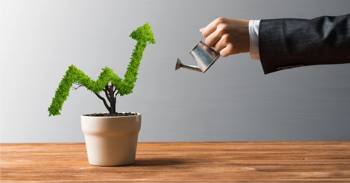 Soluções digitais para empresas